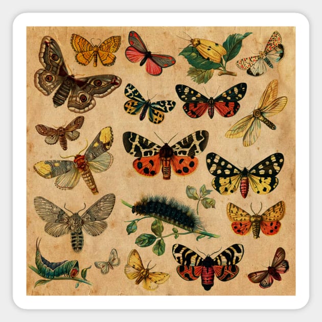 Butterflies Sticker by My Artsam